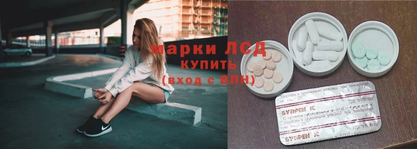 ECSTASY Вяземский