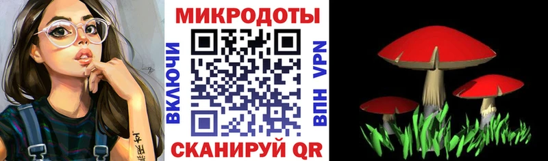 Галлюциногенные грибы MAGIC MUSHROOMS  цена наркотик  Кудрово 